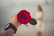 情人节一朵红色玫瑰花图片