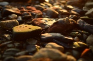 夕阳下的石子图片