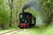 小型蒸汽机车行驶图片