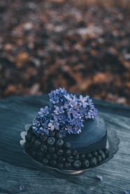 蓝莓水果鲜花蛋糕图片