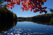 秋季湖泊景观图片