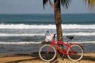 沙滩自行车图片