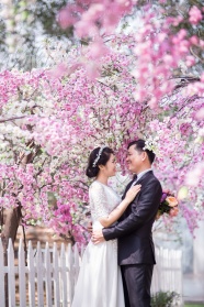 樱花树下婚纱摄影图片
