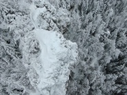 白雪森林冬季风景图片