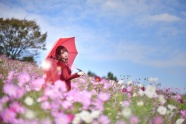 唯美花海美女写真图片