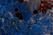 生物组织细胞图片