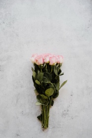 粉玫瑰鲜花花束图片