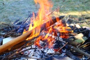 燃烧木头火堆图片