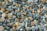 海滩鹅卵石石块图片