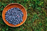 营养蓝莓水果图片