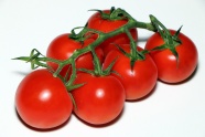 红色西红柿水果图片
