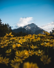 巍峨的高山图片