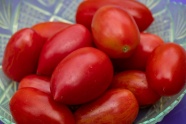 红色新鲜小番茄图片