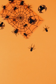橙色背景上的黑色蜘蛛图片