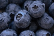 成熟的蓝莓图片