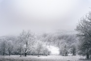 冬季雾凇风景图片