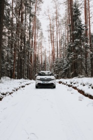冬季树林雪地汽车图片