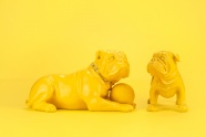 黄色斗牛犬雕塑图片