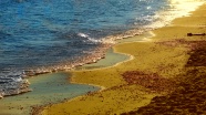 黄昏下海洋沙滩图片