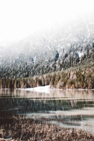 冬季高山树林雪景图片