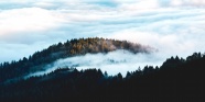 云雾缭绕山脉树林图片