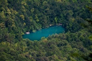 森林中的一片湖图片