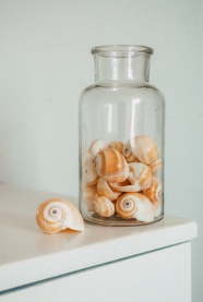 玻璃罐中的贝壳图片