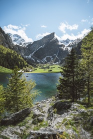 蓝天雪山树林湖泊图片