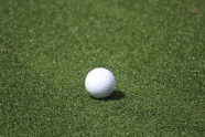 绿茵地高尔夫球图片
