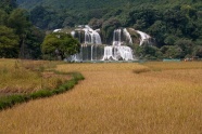 稻田瀑布风景图片