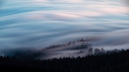 雾气朦胧意境树林图片