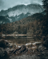 冬季雪山树林湖泊图片