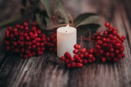 圣诞白色蜡烛小浆果图片