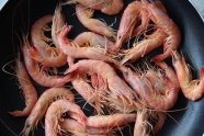白灼虾海鲜美食图片