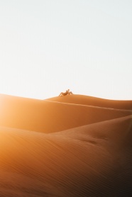 沙漠背靠背情侣图片