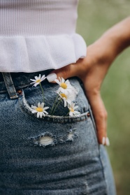 牛仔裤口袋里的雏菊图片