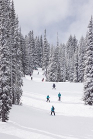 冬季雪地滑雪团队图片