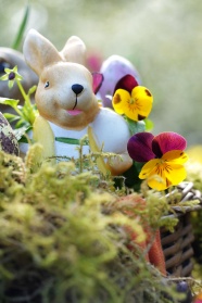 复活节兔子装饰品图片