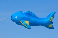 蓝色鱼风筝图片