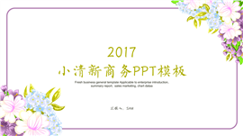 小清新文艺商务产品推广PPT模板