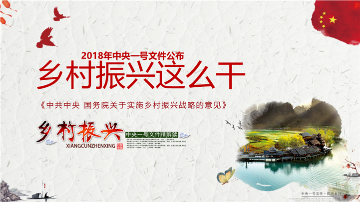 新时代乡村振兴国家战略PPT模板