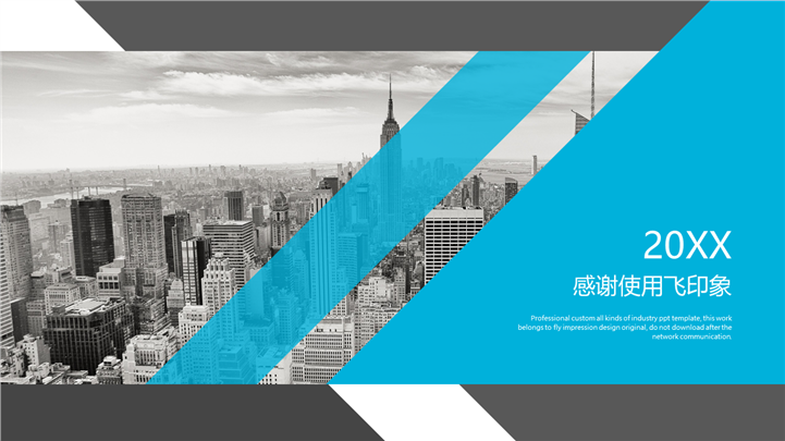 项目投资合作企业PPT模板