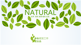 绿色清新计划总结述职报告PPT模板