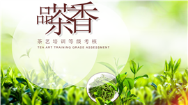 品茶香茶艺培训等级考核PPT模板