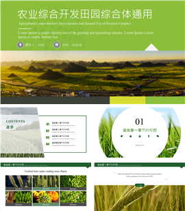 农业综合开发通用PPT模板