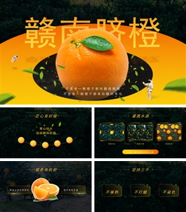 赣南脐橙宣传方案ppt模板