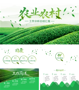 农业农村工作汇报工作总结PPT模板
