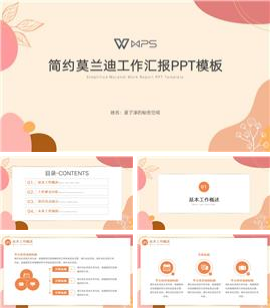 简约莫兰迪工作汇报ppt模板