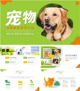 宠物医院介绍宣传ppt模板