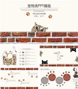 喵星人萌猫宠物主题PPT模板